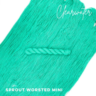 Clearwater | Sprout Worsted Mini