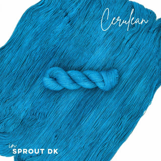 Cerulean | Sprout DK