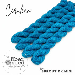 Cerulean | Sprout DK Mini