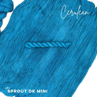 Cerulean | Sprout DK Mini