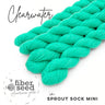 Sock Mini