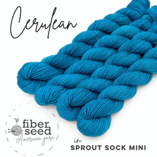 Cerulean | Sprout Sock Mini