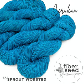 Cerulean | Sprout Worsted