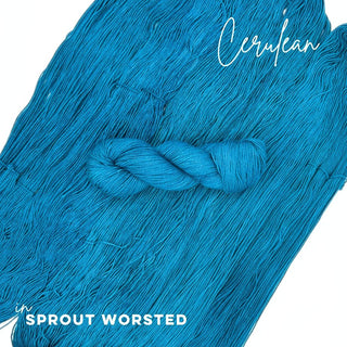 Cerulean | Sprout Worsted