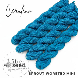 Cerulean | Sprout Worsted Mini