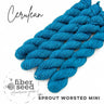 Worsted Mini