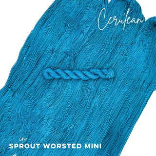 Cerulean | Sprout Worsted Mini