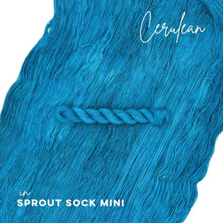 Cerulean | Sprout Sock Mini