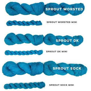 Cerulean | Sprout Worsted Mini