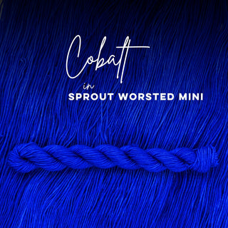 Cobalt | Sprout Worsted Mini
