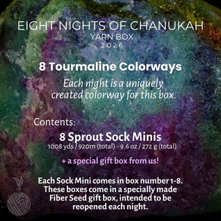 Light Reflected: Eight Nights of Chanukah '26 (PRE-ORDER)