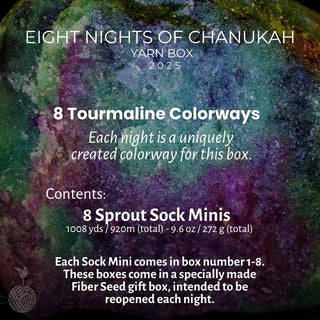 Light Reflected: Eight Nights of Chanukah '26 (PRE-ORDER)
