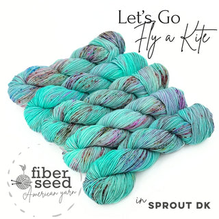 Let's Go Fly a Kite | Sprout DK