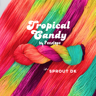 Tropical Candy | Sprout DK