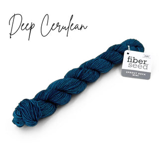 Deep Cerulean | Sprout Sock Mini