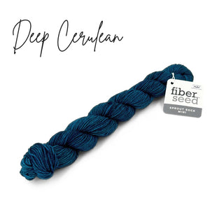 Deep Cerulean | Sprout Sock Mini