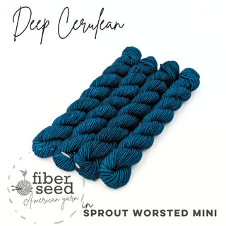 Deep Cerulean | Sprout Worsted Mini