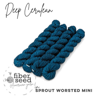 Deep Cerulean | Sprout Worsted Mini