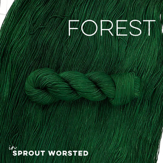 Forest | Sprout Worsted
