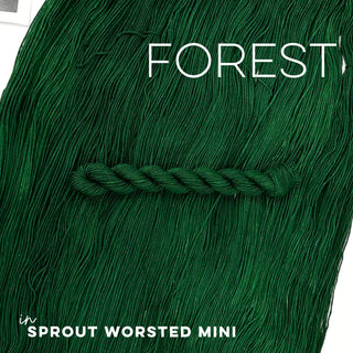 Forest | Sprout Worsted Mini