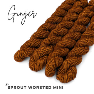 Ginger | Sprout Worsted Mini