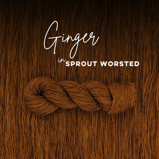 Ginger | Sprout Worsted