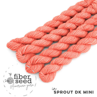 Georgia Peach | Sprout DK Mini