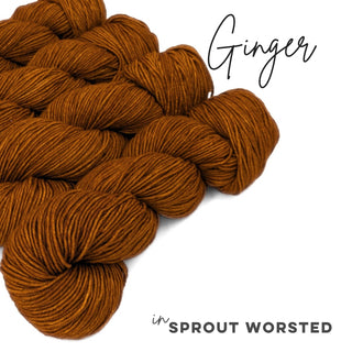 Ginger | Sprout Worsted