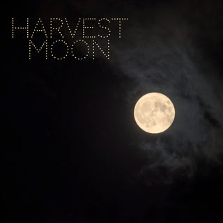 Harvest Moon | Sprout Sock