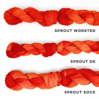 Hey Pun'kin | Sprout Worsted