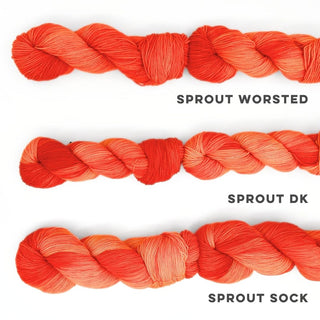Hey Pun'kin | Sprout Worsted
