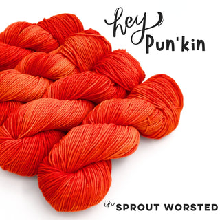 Hey Pun'kin | Sprout Worsted