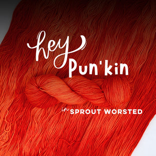 Hey Pun'kin | Sprout Worsted