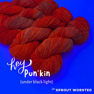 Hey Pun'kin | Sprout Worsted