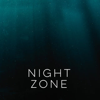 Night Zone | Sprout Sock