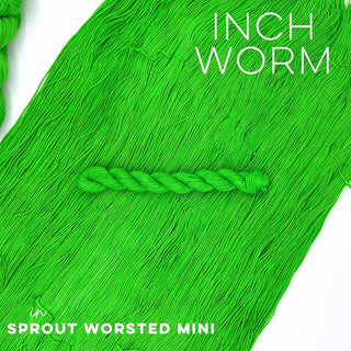 Inch Worm | Sprout Worsted Mini