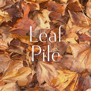 Leaf Pile | Sprout Worsted