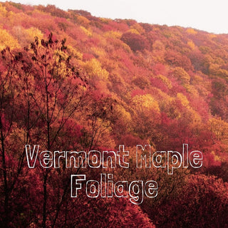 Vermont Maple Foliage | Sprout Sock
