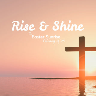 Rise & Shine | Sprout Sock