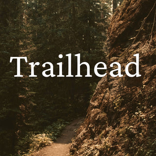 Trailhead | Sprout Worsted