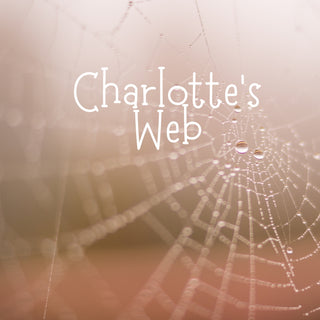 Charlotte's Web | Sprout Sock