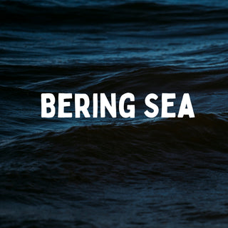Bering Sea | Sprout Worsted