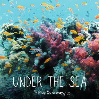 Under the Sea | Sprout DK
