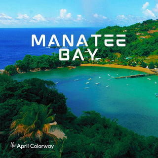 Manatee Bay | Sprout Worsted