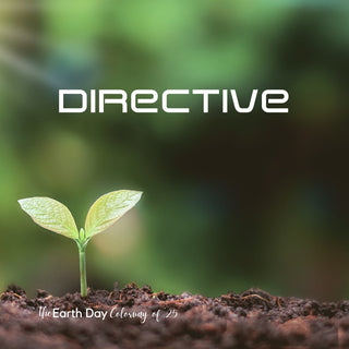 Directive | Sprout Worsted