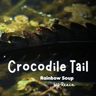 Crocodile Tail | Sprout Worsted