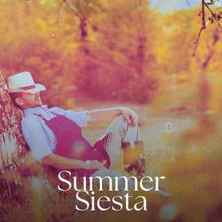 Summer Siesta | Sprout Worsted
