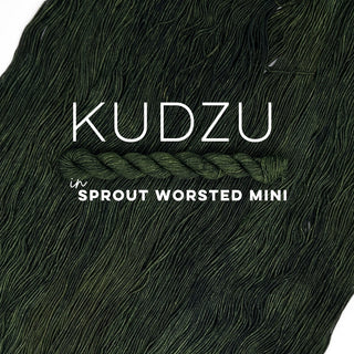 Kudzu | Sprout Worsted Mini