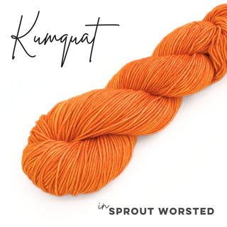 Kumquat | Sprout Worsted