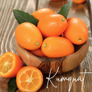 Kumquat | Sprout Sock